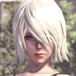 A2