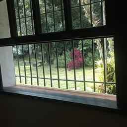 Narrador Entusiasmado