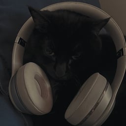 Voz Femenina Amigable