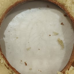 Voz Portuguesa Empática