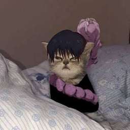 Voz Cantante Melodiosa