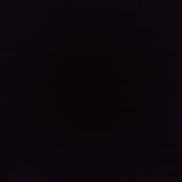 Sexy Little Minx Coat You -- Playful Charmer