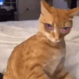 Suara Remaja Malaysia