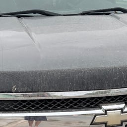 Voz Alegre y Cómplice