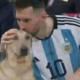 Voz Amigable y Clara