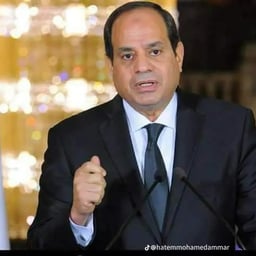 عبدالفتاح السيسي 