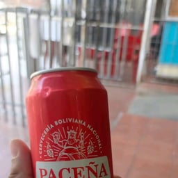 Voz Masculina Conversacional