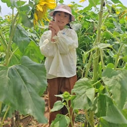 糯香老熟茶3.30-4.1