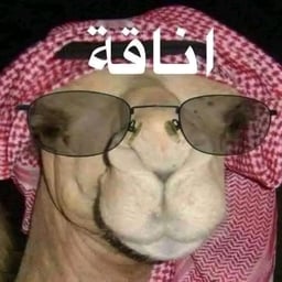 يوسف