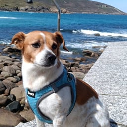 편안한 소통 남성