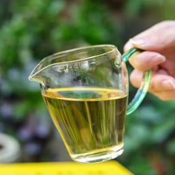 雪乐港商老茶头1.3-5小树美