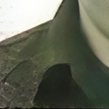 سلمان ياي سلمان