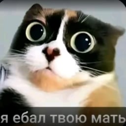 Voz Conversacional Masculina