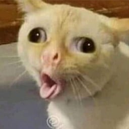 Narrador de Cuentos Clásicos