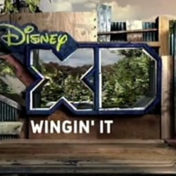 Disney XD Canada Announcer (2011-2016) Version 2