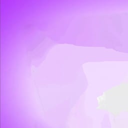 Lil Critters PBS/CP Announcer 