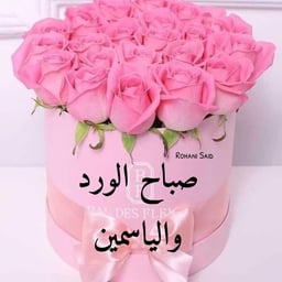 صوت عربي واضح