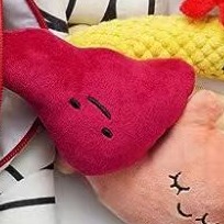 Enthusiastic Product Reviewer