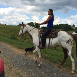 Assertive Male Voice