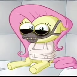 Fluttershy Shed