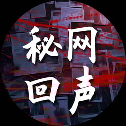 秘网回声