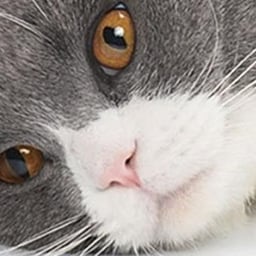 Voz mulher para anuncios