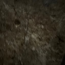 Expressive Social Voice