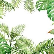 Youthful Conversationalist