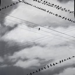 Clear Informative Female