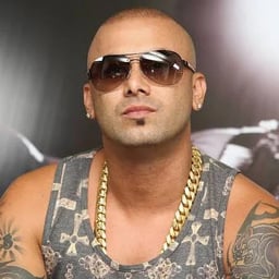 wisin