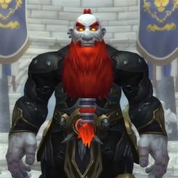 Ciudadano Hierro Negro