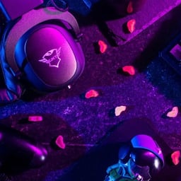 Voz de Radio Profesional