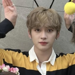 Lee mimho stray kids 