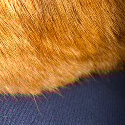 Voz Narrativa Portuguesa 1