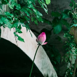 情感语录男2温柔