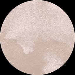 Confident Female Speaker