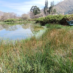 Guía Clara y Amigable