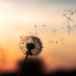 0414 建议不要剧烈运动