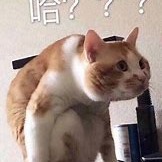 传奇-终极藏宝图