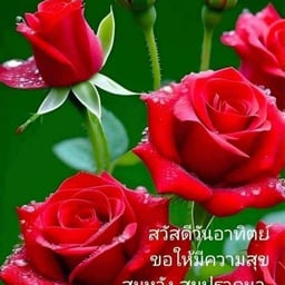 เสียงร้องชายอบอุ่น