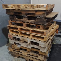 Voz Feminina Animada