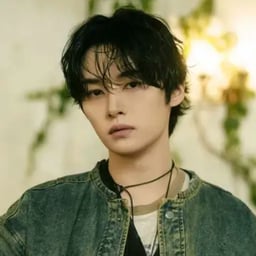 Lee know stray kids voz1