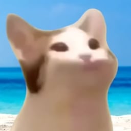 Никита бородавка