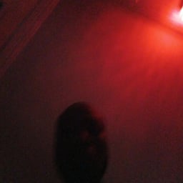 Warm Motivational Speaker