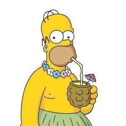 Homer Simpsons 