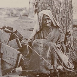 The Digital Terrafic Voice