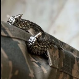 صوت الوائلي