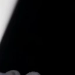 أمسي ميقووو