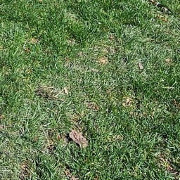 Calm Nature Narrator