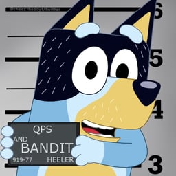 Bandit Heeler